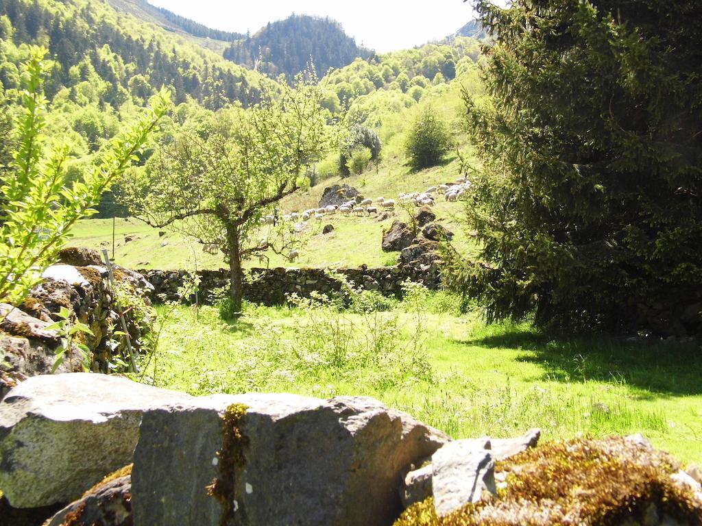 Gite Auberge Les Cascades La Mongie Zewnętrze zdjęcie