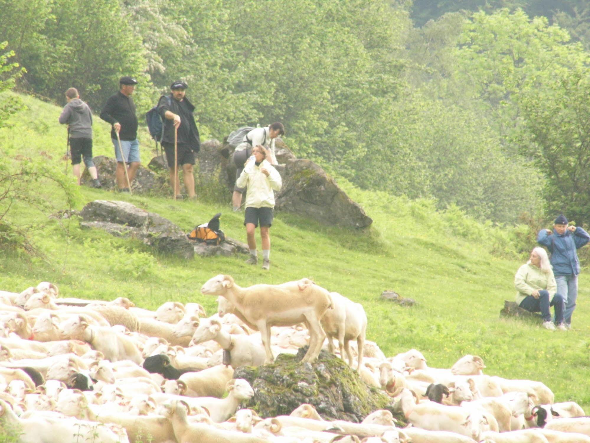 Gite Auberge Les Cascades La Mongie Zewnętrze zdjęcie
