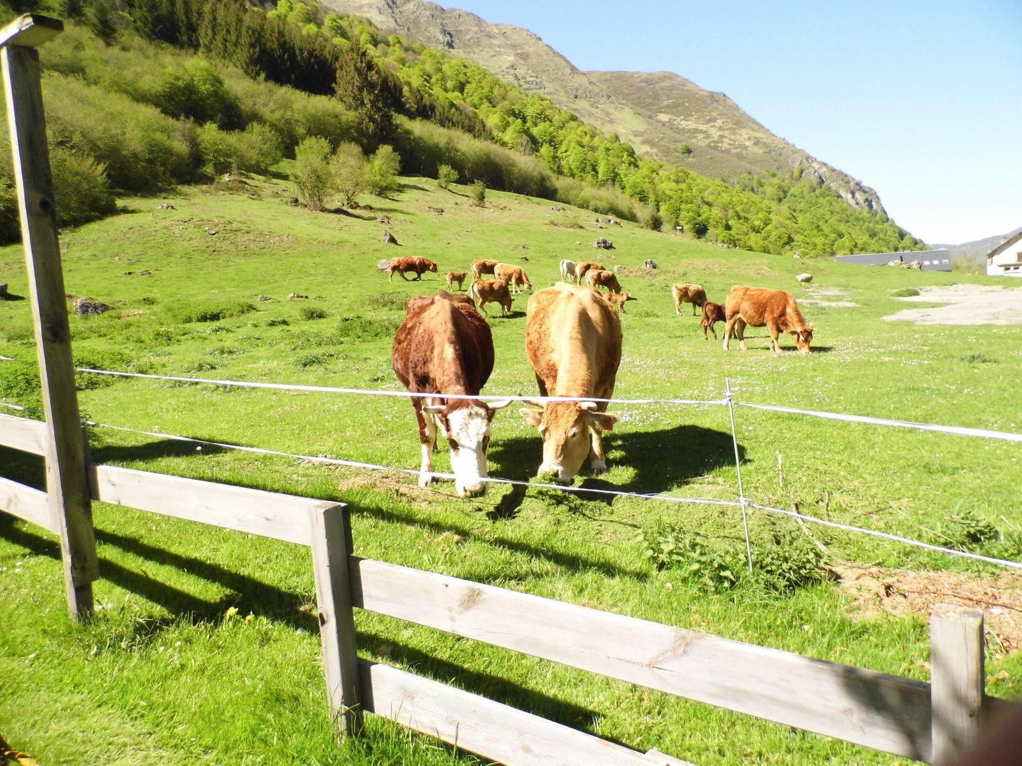 Gite Auberge Les Cascades La Mongie Zewnętrze zdjęcie