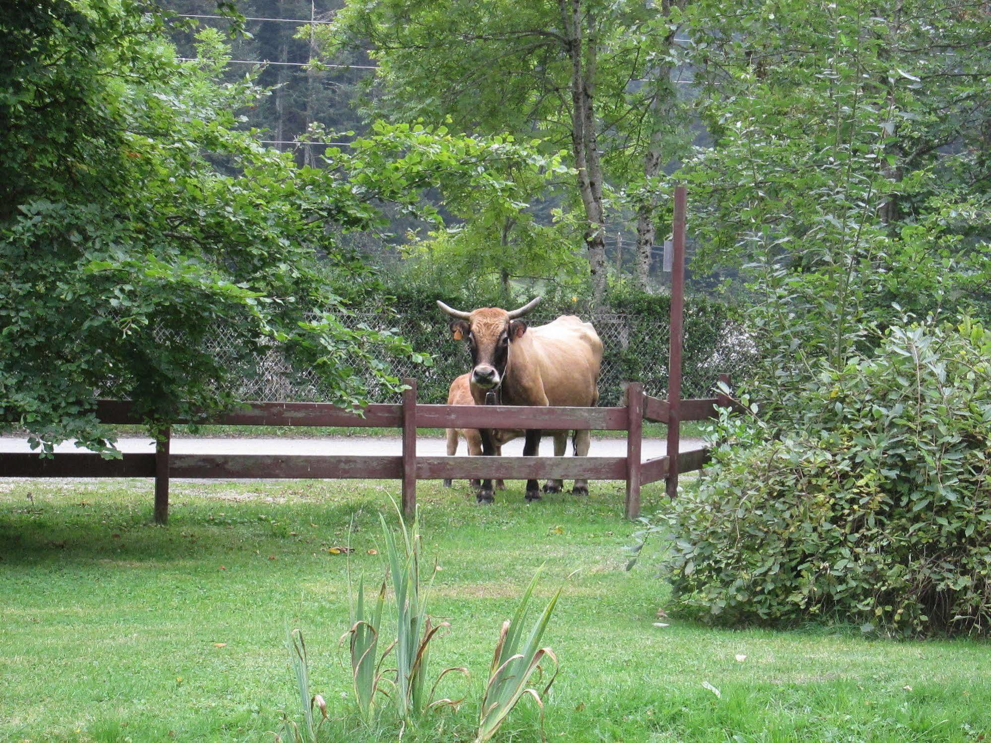 Gite Auberge Les Cascades La Mongie Zewnętrze zdjęcie