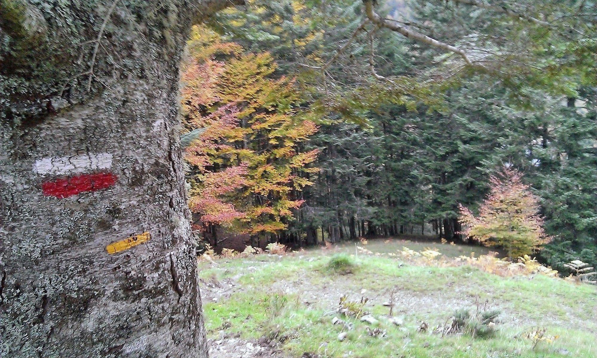 Gite Auberge Les Cascades La Mongie Zewnętrze zdjęcie